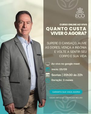 Curso online: Quanto Custa Viver o Agora?